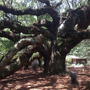 Meet your Posher, Rena